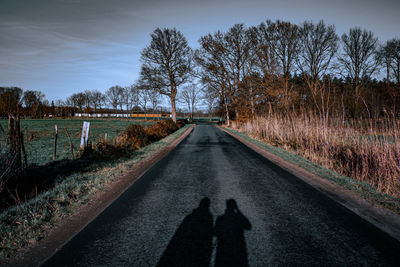 Shadow of trees on road