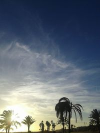 Silhouette palm trees against sky during sunset