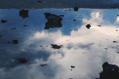 High angle view of puddle on wet land