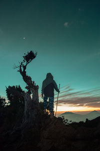 Rear view of man standing by tree against sky during sunset