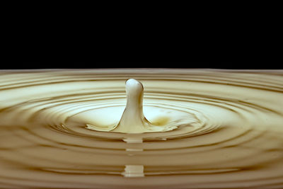 Close-up of water drop on table against black background