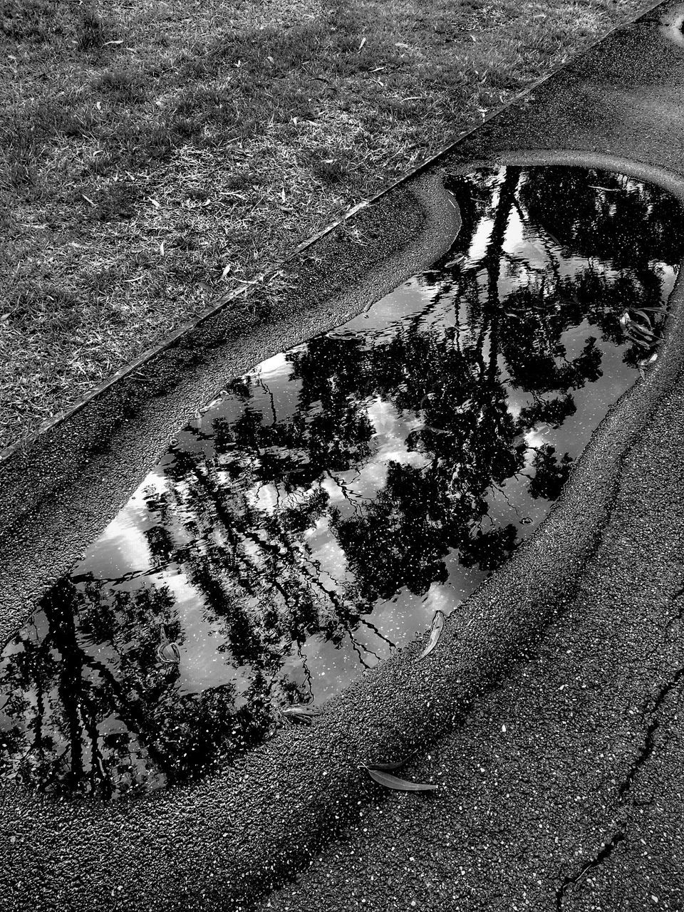 water, high angle view, transportation, reflection, mode of transport, wet, street, puddle, land vehicle, road, sunlight, day, outdoors, shadow, rain, car, bicycle, nature, part of, no people