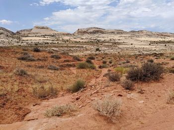 Scenic view of desert against sky