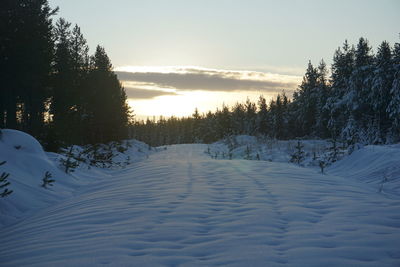 Trees on snow covered landscape against sky