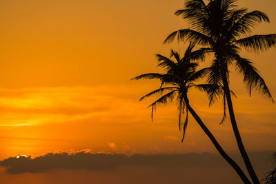 Silhouette palm tree against sea during sunset