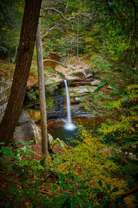 Waterfall in forest