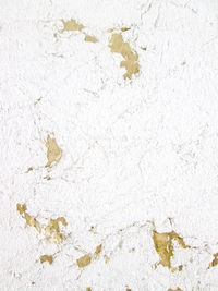 Close-up of wall