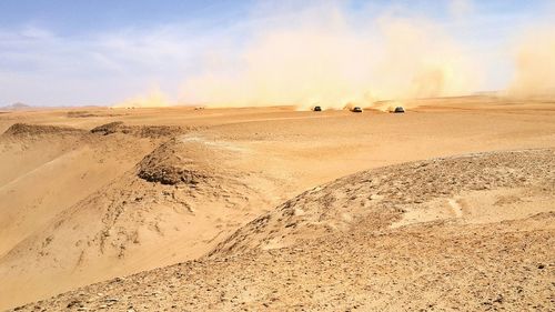 Off road vehicles in desert