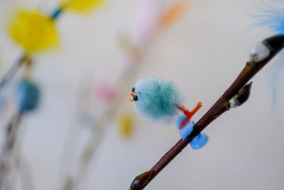 Close-up of bird perching on branch