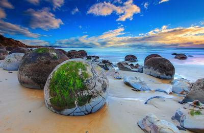 Beautiful sunrise at moeraki boulders, south island, new zealand