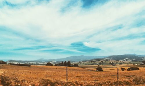 Scenic view of field against sky