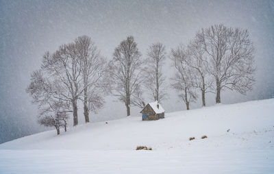 snow