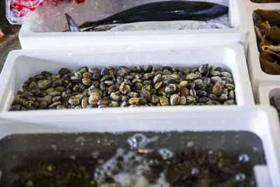 Close-up of roasted coffee beans for sale