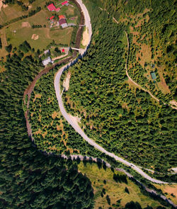 High angle view of agricultural field