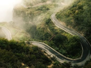 High angle view of road amidst trees