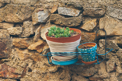 Potted plants on stone wall