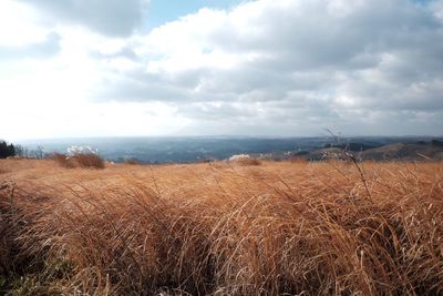 Scenic view of field against sky