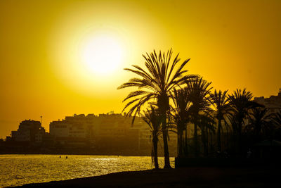 Silhouette palm trees by sea against sky during sunset