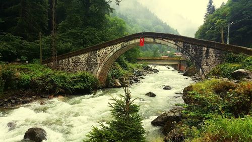 Arch bridge over river in forest