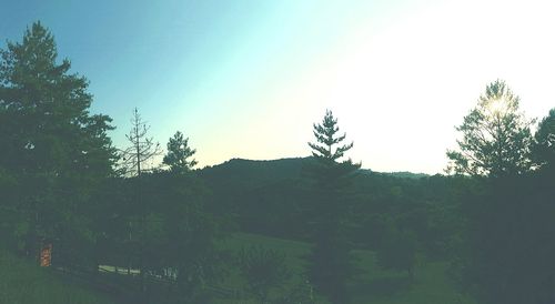 View of trees against clear blue sky