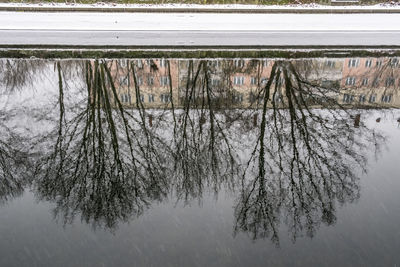 Reflection of tree in lake against sky