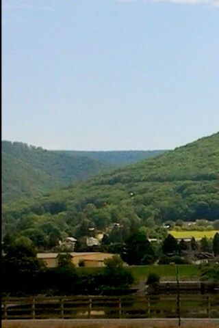 clear sky, tree, copy space, landscape, tranquil scene, tranquility, mountain, beauty in nature, scenics, nature, growth, field, green color, rural scene, plant, agriculture, built structure, day, lush foliage, house