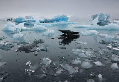 High angle view of iceberg in sea