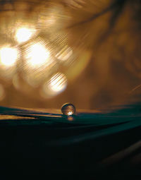 Close-up of water drops on metal