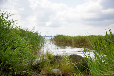 Scenic view of lake against sky