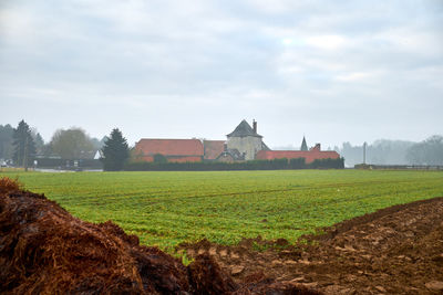 Scenic view of agricultural field against sky