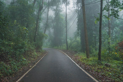 Road amidst trees in forest