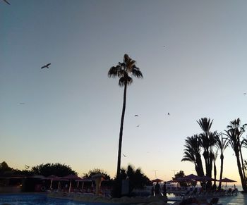 Silhouette palm trees against sky during sunset