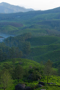 Scenic view of mountains