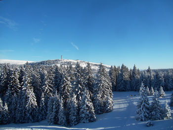 Scenic view of snow covered land against blue sky