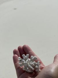 Close-up of hand holding paper over white background