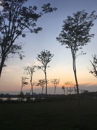 Silhouette trees on field against sky during sunset