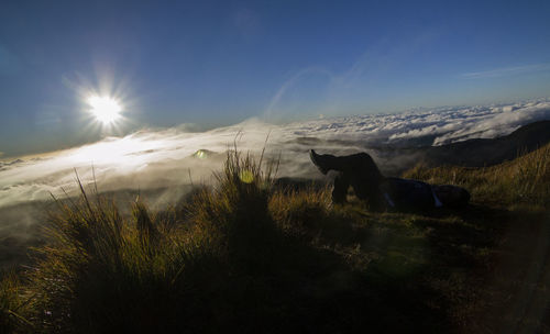 Scenic view of landscape against sky during winter