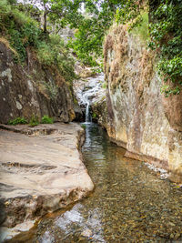 Scenic view of waterfall in forest