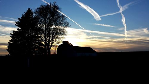 Silhouette of trees at sunset