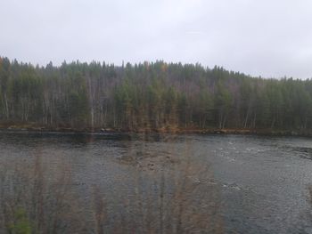 Scenic view of lake in forest against sky