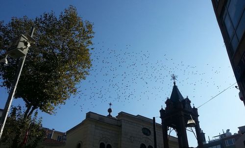 Low angle view of church against blue sky