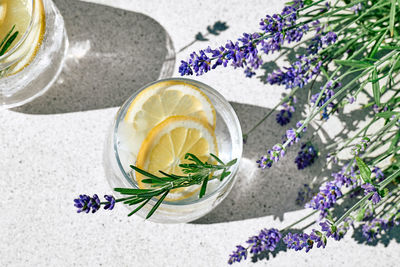 Cool lavender homemade lemonade with lemon slices and lavender flower. healthy organic summer drink.