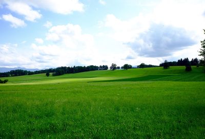 Scenic view of grassy field against cloudy sky