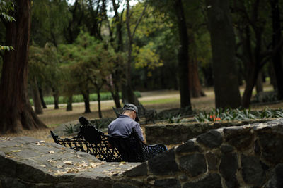 Man sitting on rock in forest