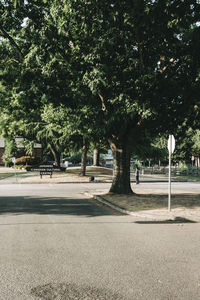 Street amidst trees in park