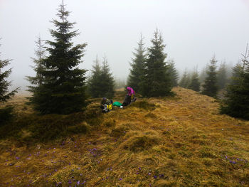 Tourists gather camp in the fog