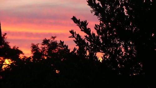 Low angle view of silhouette trees against dramatic sky