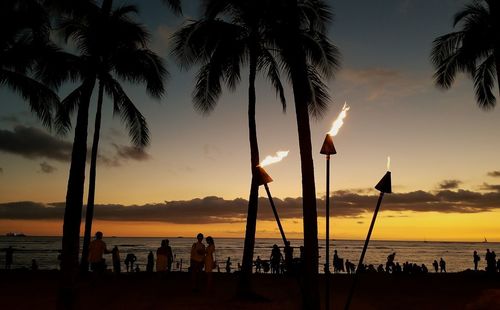 Silhouette palm trees on beach against sky during sunset