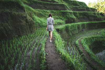 Rear view of man walking on footpath