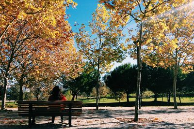 Park bench in park